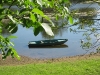Dordonge Boat