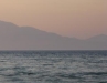 Zante