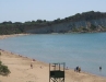Turtle Beach